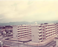 photo1