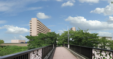 photo8
