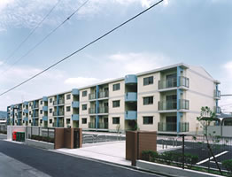 photo6